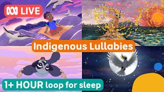 Live Loop For Bedtime Indigenous Lullabies Abc Kids