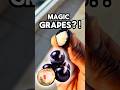 I found MAGIC grapes in Brazil🤯 …#fruit #foodie #shorts #brazil #nyc