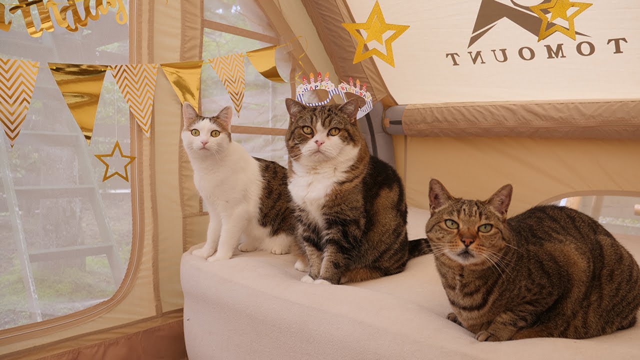 Maru's 16th Birthday Party. - YouTube