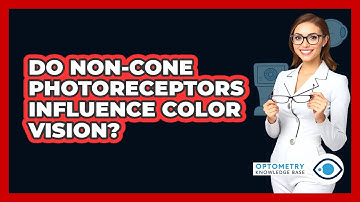 Do Non-Cone Photoreceptors Influence Color Vision?