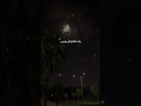 ليت المطر يسقيني ذوق تفاعلوا شيلات شيلة غريب ال مخلص عبدالله ال مخلص