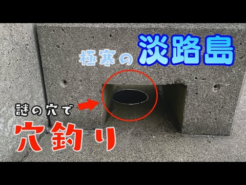 穴釣りしに行ったら魅力的な穴発見！！釣らずにはいられない！！淡路島は釣り場の宝庫！