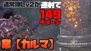 149ダメ 業カルマの通常弾レベル2速射が強い Mhw モンハンワールド実況 Youtube