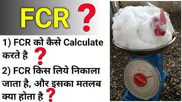FCR in poultry, FCR calculation, how to calculate fcr in poultry farm, broiler fcr, FCR , FFG |