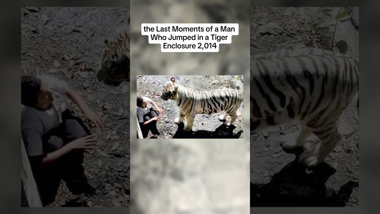 Historical Photos That Will Make You Shiver 🥶. 