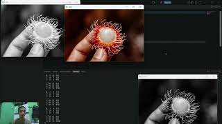 Full Tutorial menampilkan matriks dan citra pada python di visual studio code News