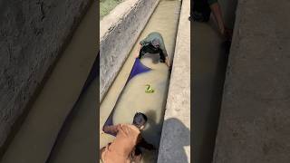 Unleashing The Dragon A Fishing Adventure Like No Other