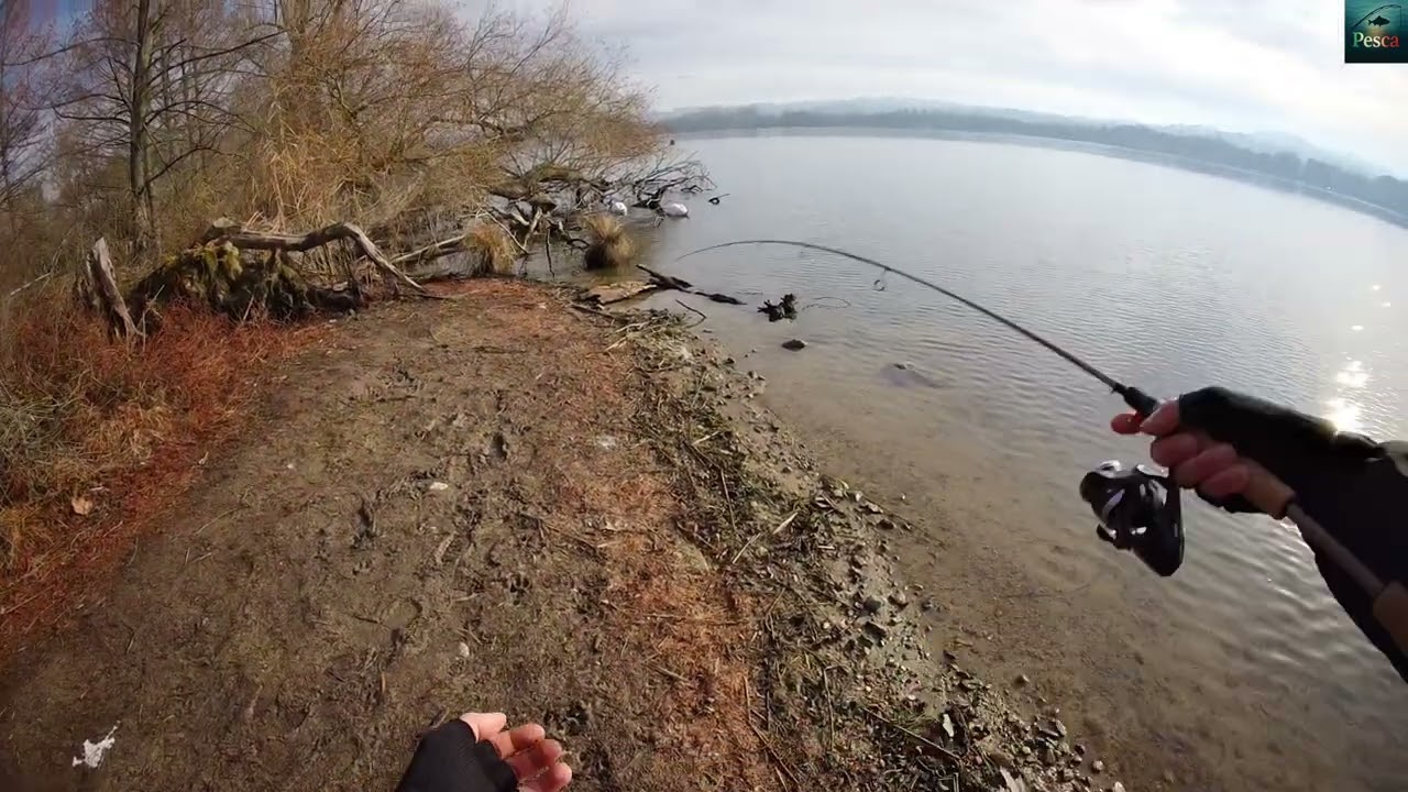 PESCA ASMR - spinning al lago! (PARTE 1)