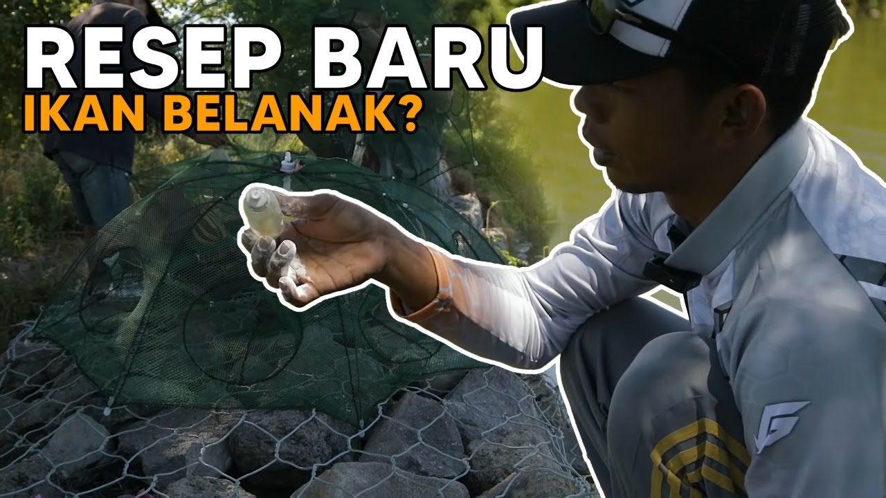 MANCING IKAN BELANAK TERNYATA BANYAK GODAAN ? MALAH IKAN INI YANG NAIK