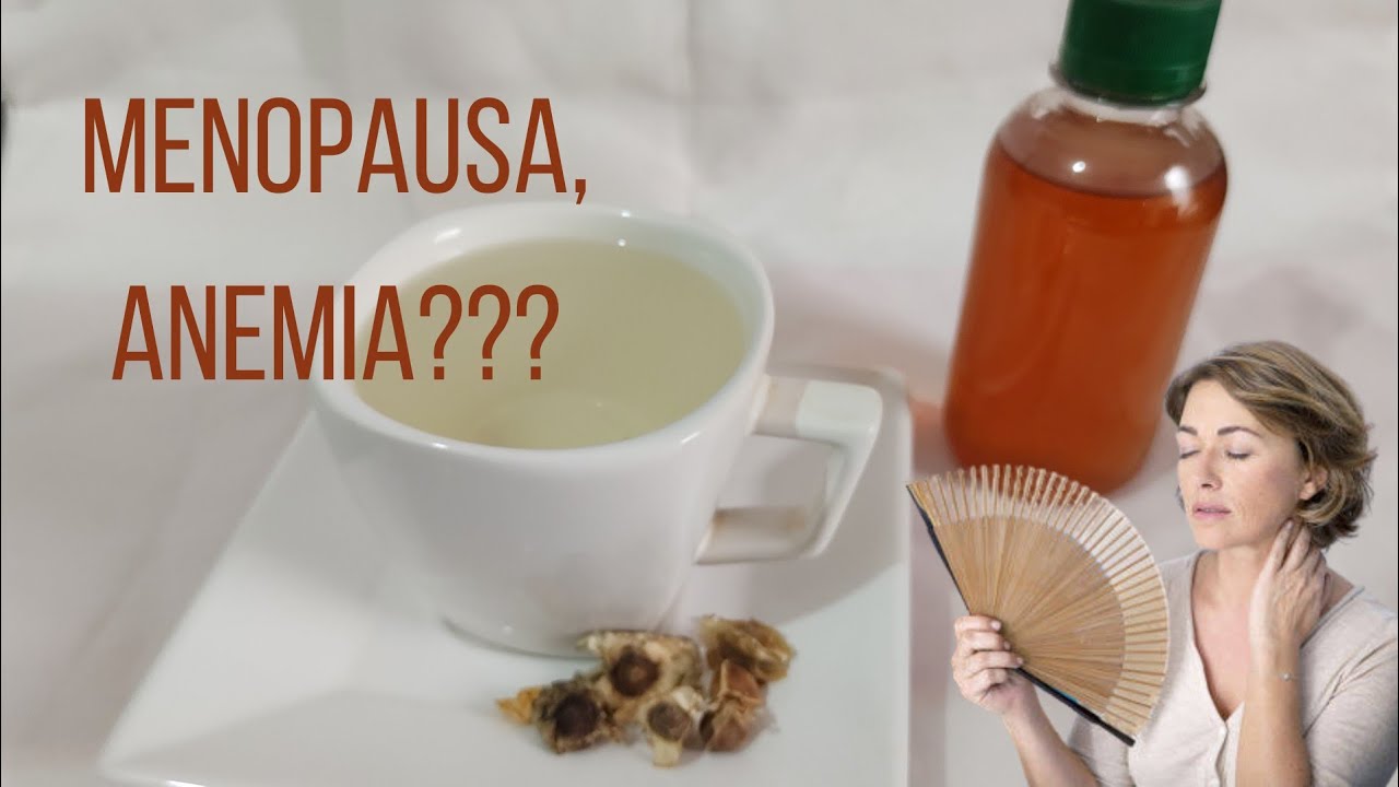 REMÉDIO NATURAL PARA MENOPAUSA, ANEMIA E MAIS - chá de moringa 