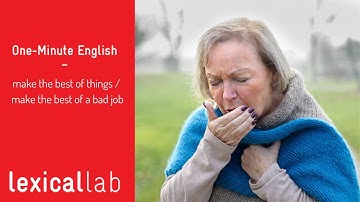ONE-MINUTE ENGLISH: make the best of things LEARN WITH LEXICAL LAB