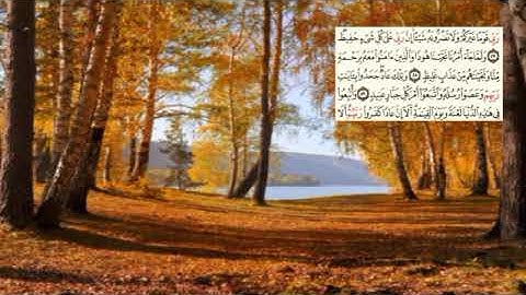 صفحة-228 page سعد الغامدي - -سورة هود -11- (Hud)