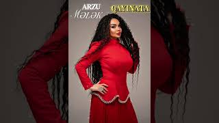 Arzu Melek Qayinata