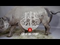 A Horn in Need of Protection: The Eastern Black Rhino Charges for Survival