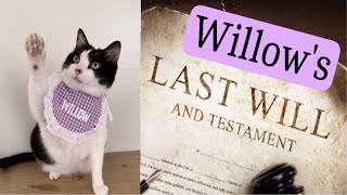 Download Lagu Willows testament voorlezen. Aan wie heeft ze alles nagelaten? MP3 Download Lagu Willows testament voorlezen. Aan wie heeft ze alles nagelaten? MP3