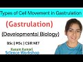 Types of Cell Movement in Gastrulation-Invagination, Involution , Delamination, Ingression, Epiboly