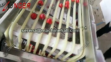 Automatic Cherry Tomatoes Roller Grading Machine System