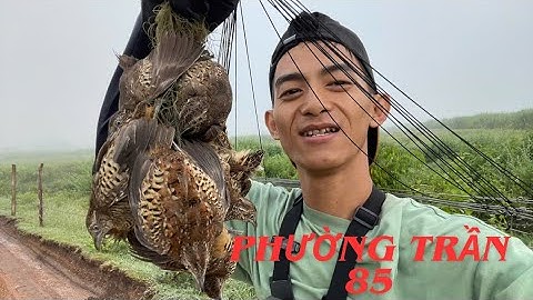 Bảy Chim Cút Sau Mưa Lớn Qua bất ngờ với chiếc loa caraven độ...