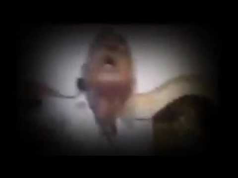 إغتصاب المومياء لإمرأة من فيلم أنجلينا جولي الأميركي أخبار الفن والفنانيين