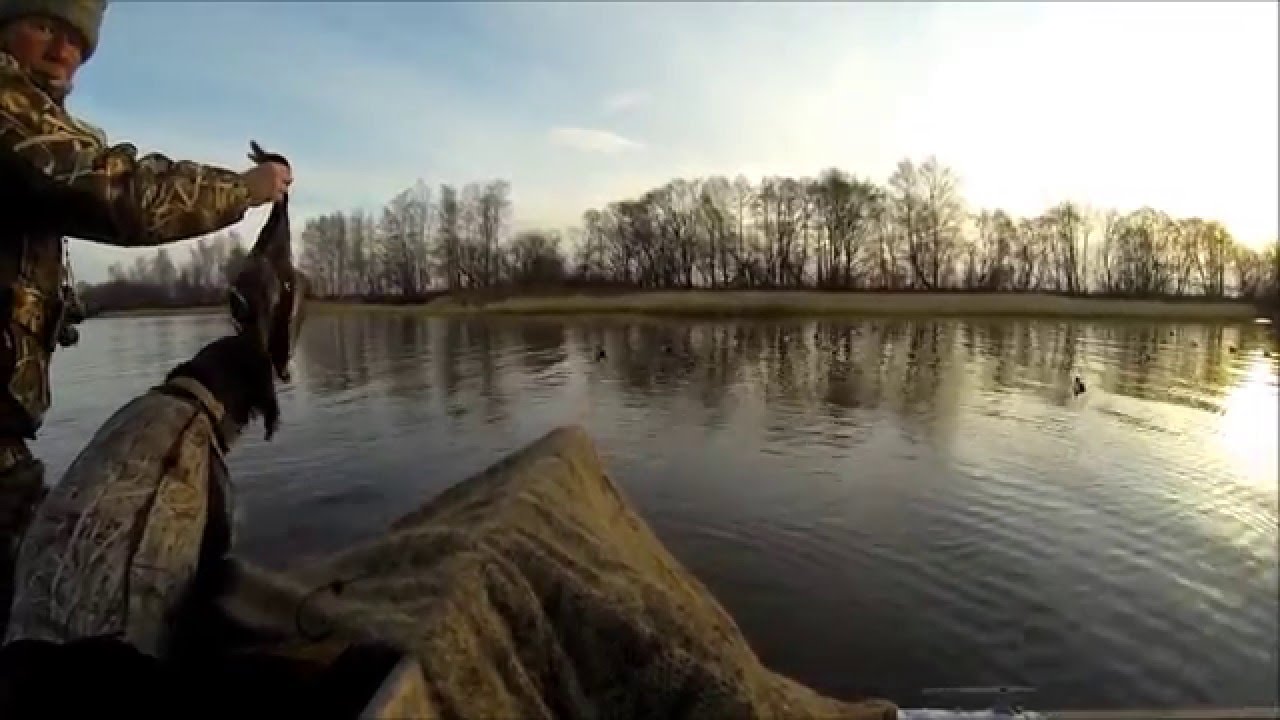 Рыбалка на реке Пальна в Рузском районе: места, снасти и советы