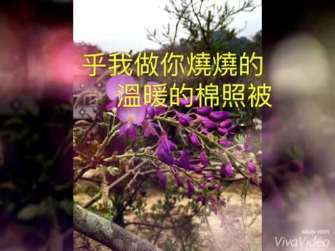 主唱:  許富凱    （棉照被）