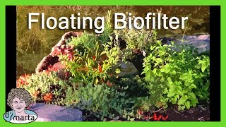 DIY Floating Bio-Filter Garden