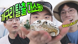 비상! 개구리가 탈출했다~[모여라 생물팡팡 EP3]