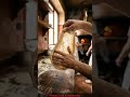 The 24-Hour Secret to Authentic Neapolitan Pizza