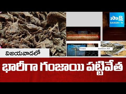 భారీగా గంజాయి పట్టివేత | DRI Busts 1300 Kg Ganja Smuggling in Vijayawada | SakshiTV - SAKSHITV