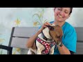 Ian video