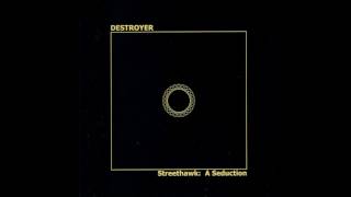 Destroyer - Streethawk II