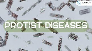 Protist Diseases