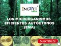 Microorganismos Eficientes Autóctonos (EMAs)