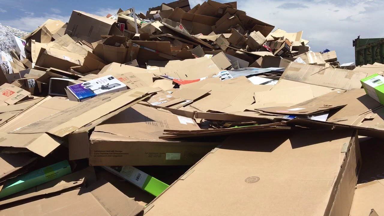 Mountain of Paper and Cardboard Recycling Center San Diego California