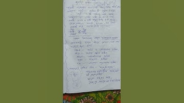 primary Interview 2022