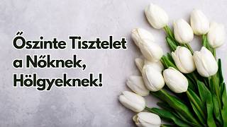 Őszinte Tisztelet A Nőknek, Hölgyeknek