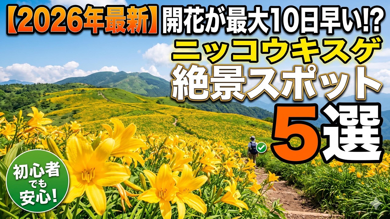 2026 Edition] Early Bloom This Summer! 5 Must-See Nikko Kisuge