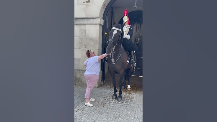 Unforgettable Day at Horse Guards: Woman's Heartwarming Moment with Royal Horse! #shorts