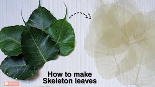 How to make Skeleton leaves | DIY Skeleton leaves