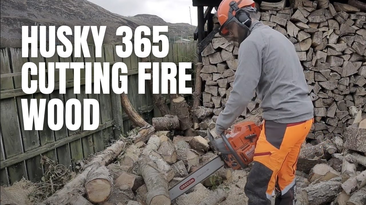 Husqvarna 365 Cutting Fire Wood - Thoughts on 365 Vs 181
