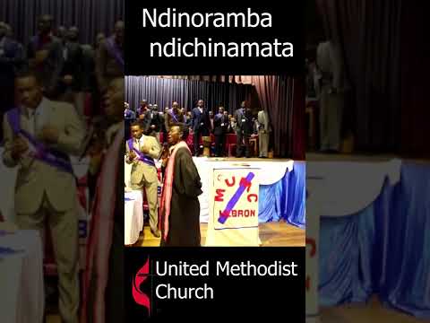 Ndinoramba Ndichinamata Shorts 