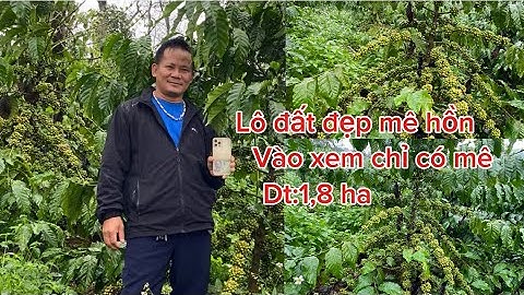 (đã bán)Lô đất đẹp cà phê giống thiện trường ôm 90m đường bê tông có nhà có ao cá to dt:1,8 ha