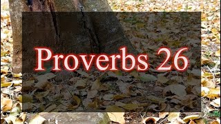 A reading of Proverbs 26 from the New Living Translation