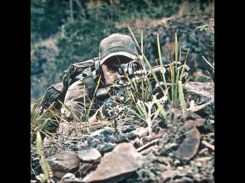 The sniper successfully rescued the civilians #shorts #movie