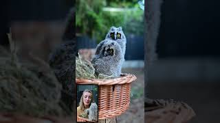 Uszate maluchy  #animals #zwierzaki #animalhelp #birds #ciekawostki #natura #wildlife #nature