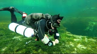 Ginnie Springs Cave Dive with Dive Rite by Russell Clark 4,634 views 9 years ago 55 seconds