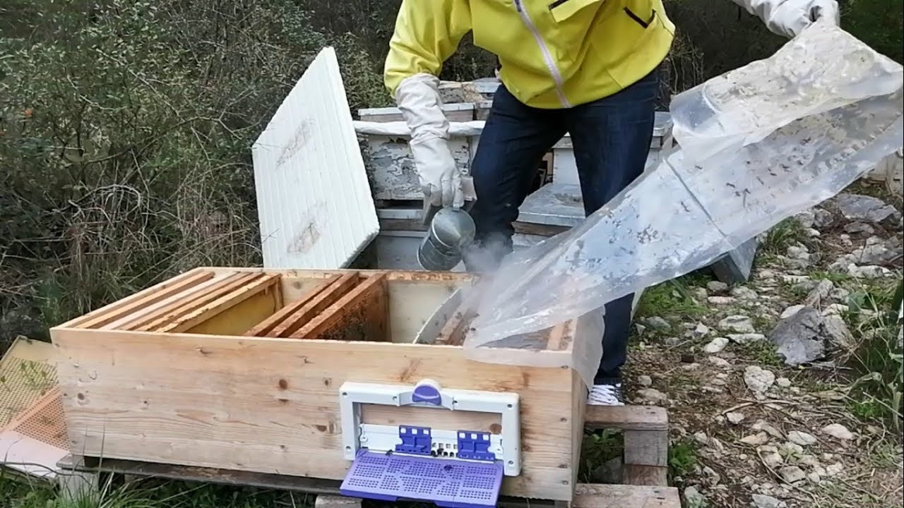 20/02/2020 Uzun kovanı kontrol ettim. tabut kovan.Arı bakımı nasıl yapılır.