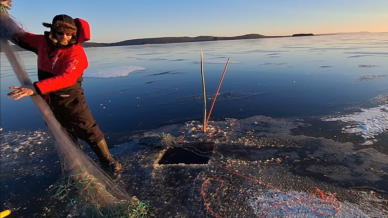 Talviverkoilla Pielisellä 15.12.24: verkot jään alle!!