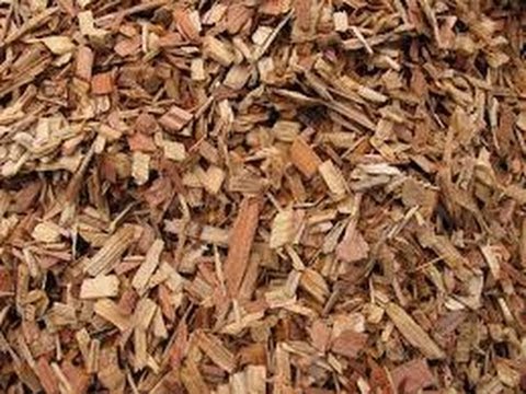 Top 9 Easy Tips On How To Gardening With Woodchips Youtube