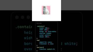 😍 Cool Image Hover Effect Looks So Smooth